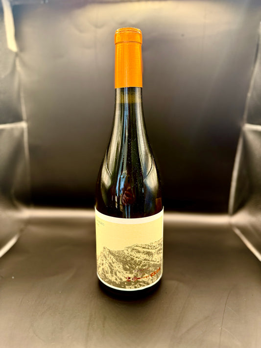 🇫🇷 Domaine des Deux Clés – Corbières Blanc 2023